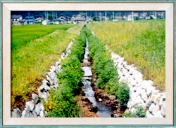 舟岳用水