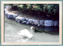 臥竜山公園(施工後)